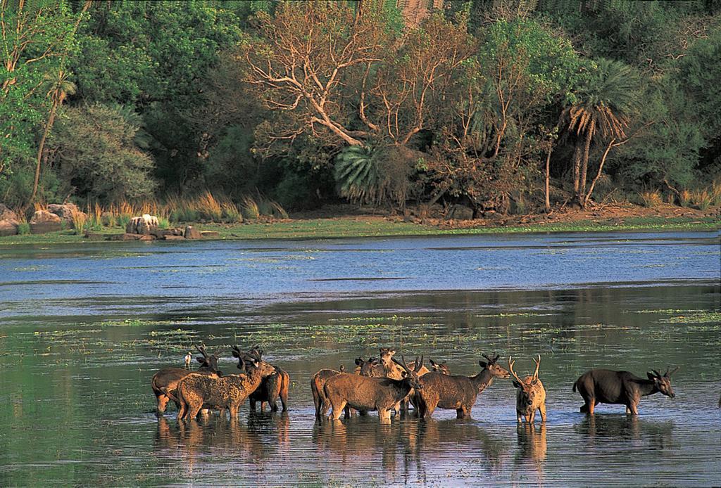 The Oberoi Vanyavilas Wildlife Resort, Ranthambhore Saváj Madhopur Kültér fotó